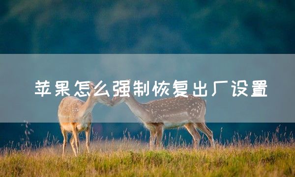 苹果怎么强制恢复出厂设置(图1)