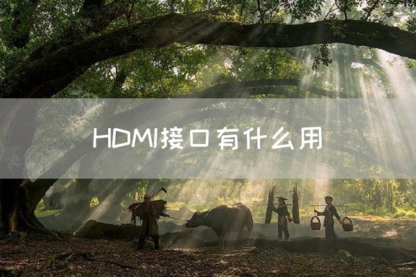 HDMI接口有什么用(图1)