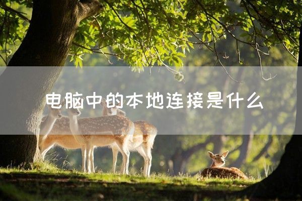 电脑中的本地连接是什么(图1)