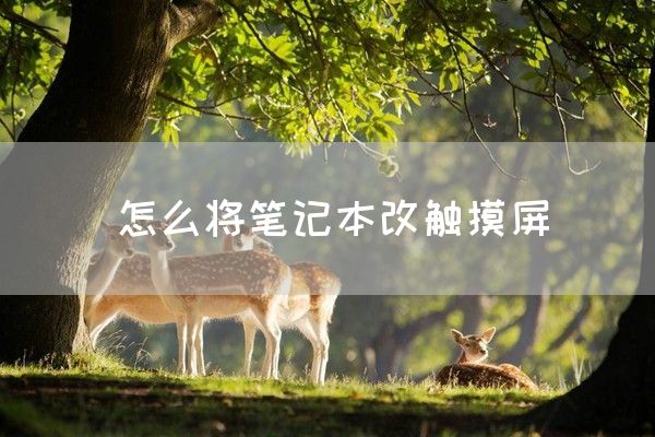 怎么将笔记本改触摸屏(图1)