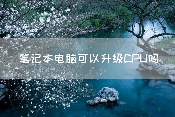 笔记本电脑可以升级CPU吗(图1)