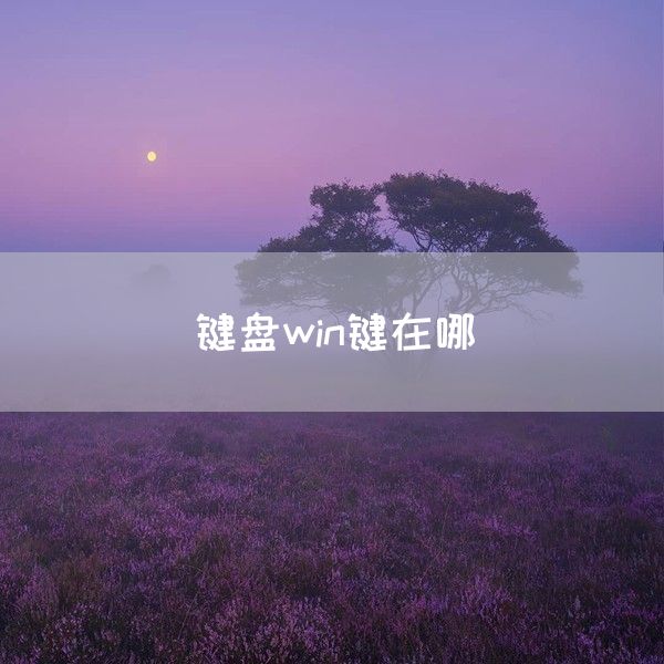 键盘win键在哪(图1)