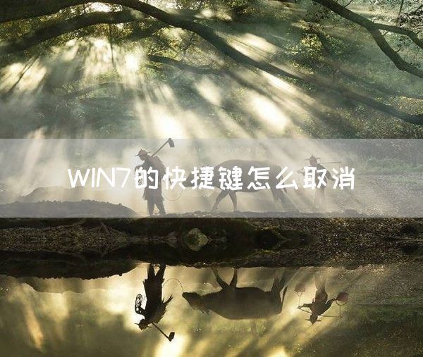 WIN7的快捷键怎么取消(图1)