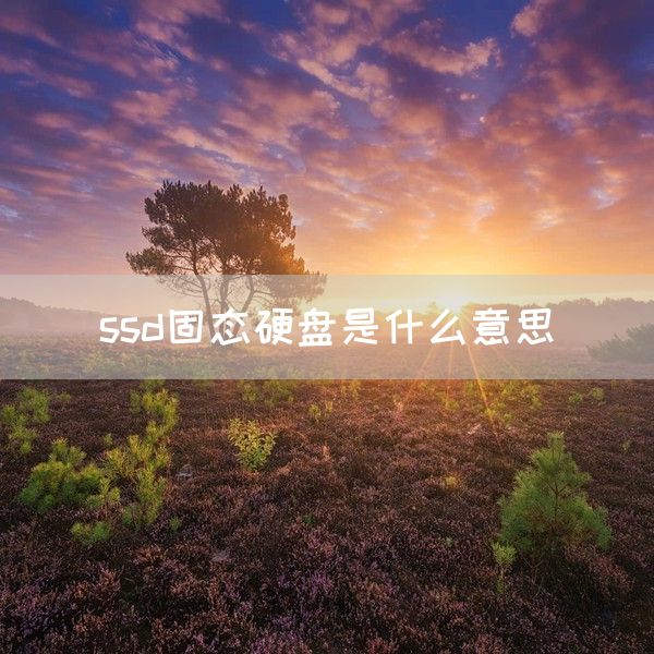 ssd固态硬盘是什么意思(图1)