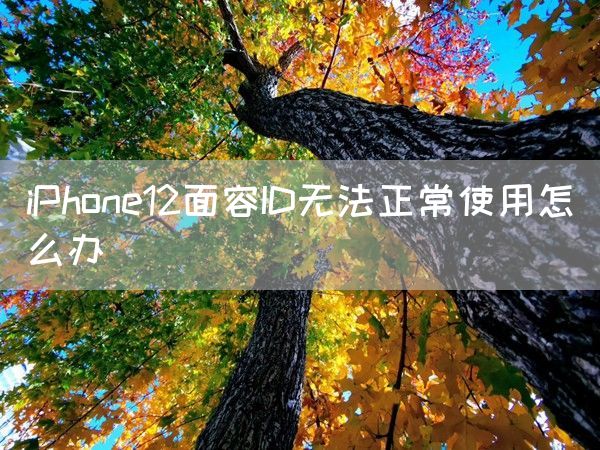 iPhone12面容ID无法正常使用怎么办(图1)