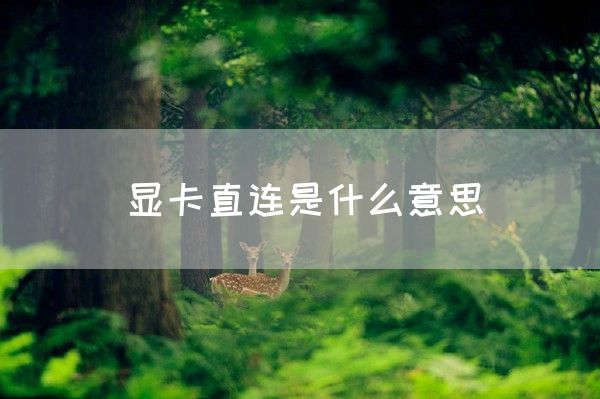 显卡直连是什么意思(图1)