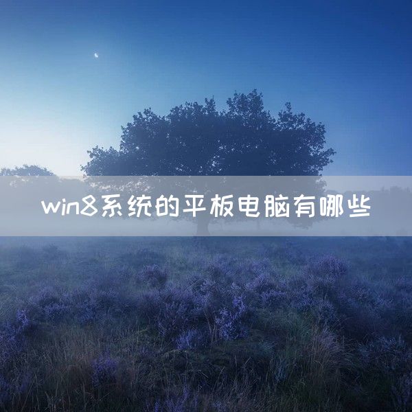 win8系统的平板电脑有哪些(图1)