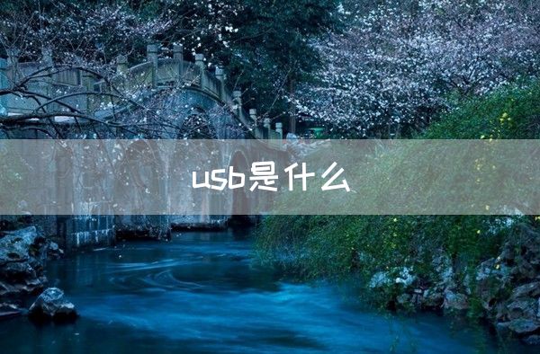 usb是什么(图1)