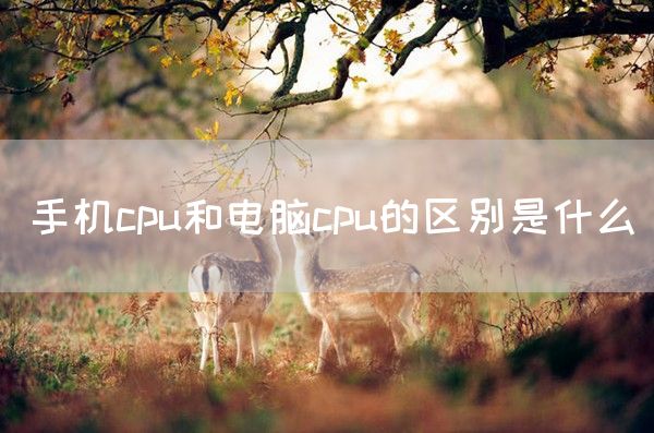 手机cpu和电脑cpu的区别是什么(图1)