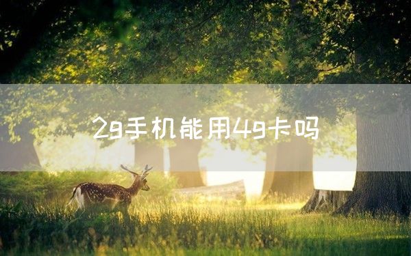 2g手机能用4g卡吗(图1)