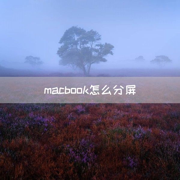 macbook怎么分屏