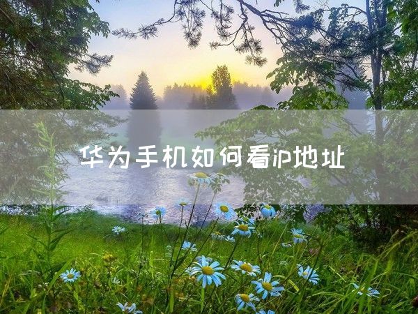 华为手机如何看ip地址(图1)