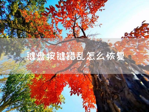 键盘按键错乱怎么恢复(图1)