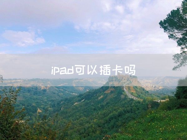 ipad可以插卡吗(图1)