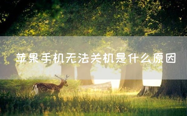 苹果手机无法关机是什么原因(图1)