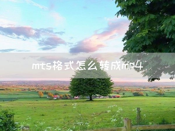 mts格式怎么转成mp4(图1)