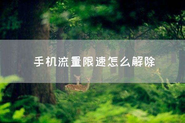 手机流量限速怎么解除(图1)