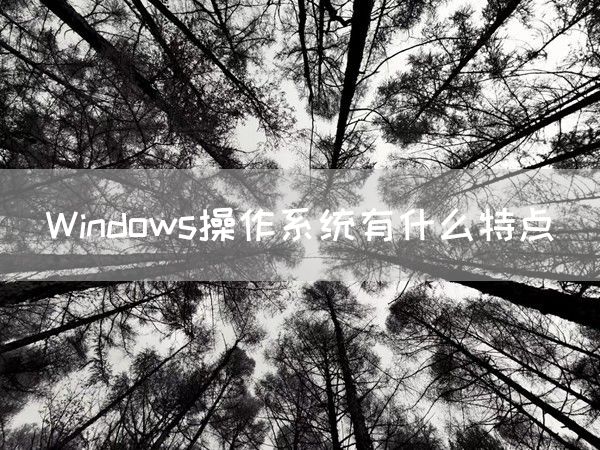 Windows操作系统有什么特点(图1)