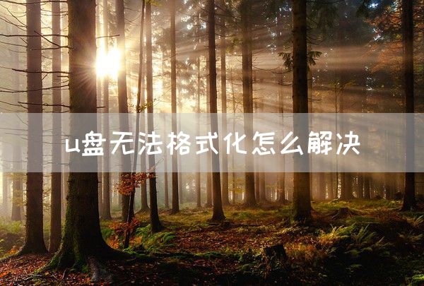 u盘无法格式化怎么解决(图1)