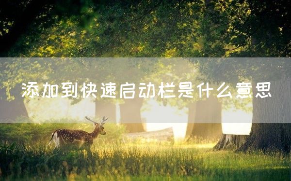 添加到快速启动栏是什么意思(图1)