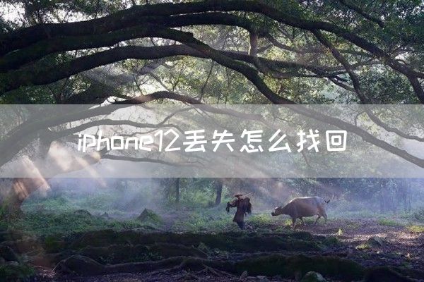 iphone12丢失怎么找回(图1)