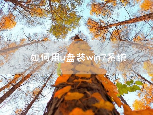 如何用u盘装win7系统(图1)