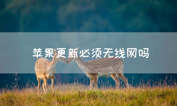 苹果更新必须无线网吗(图1)