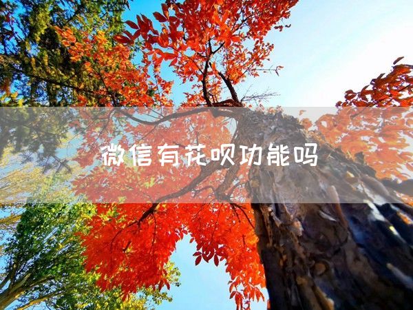 微信有花呗功能吗(图1)