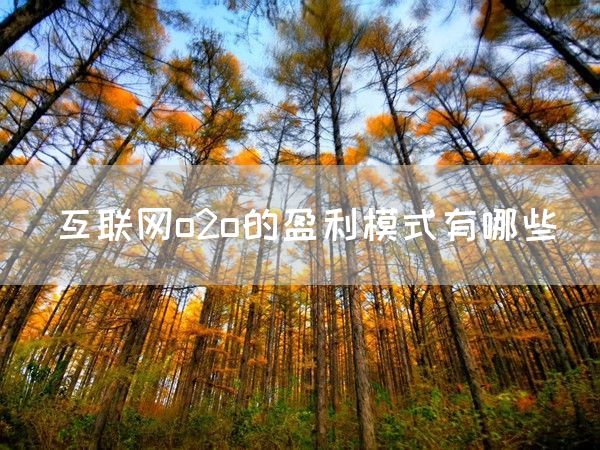 互联网o2o的盈利模式有哪些(图1)