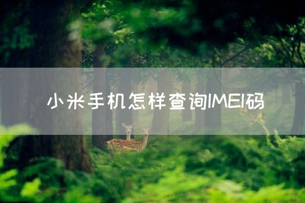 小米手机怎样查询IMEI码(图1)