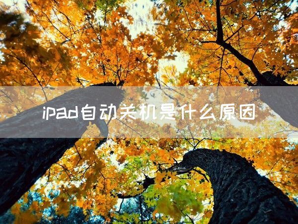 ipad自动关机是什么原因(图1)