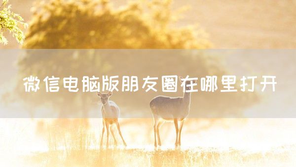 微信电脑版朋友圈在哪里打开(图1)