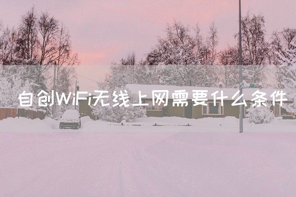 自创WiFi无线上网需要什么条件(图1)