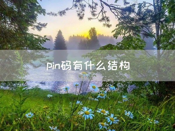 pin码有什么结构(图1)