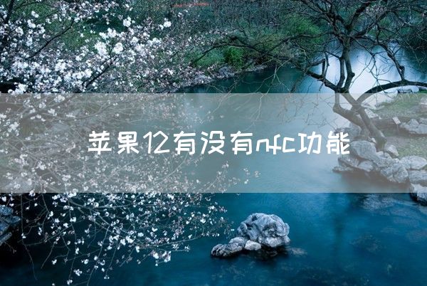 苹果12有没有nfc功能(图1)