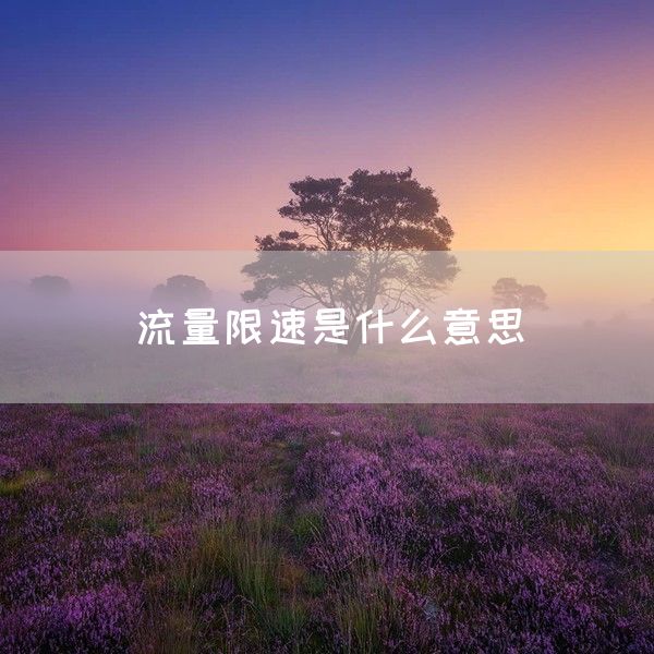 流量限速是什么意思(图1)