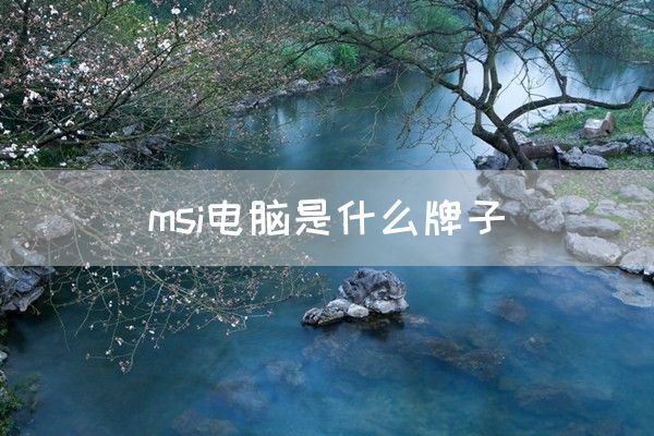 msi电脑是什么牌子(图1)