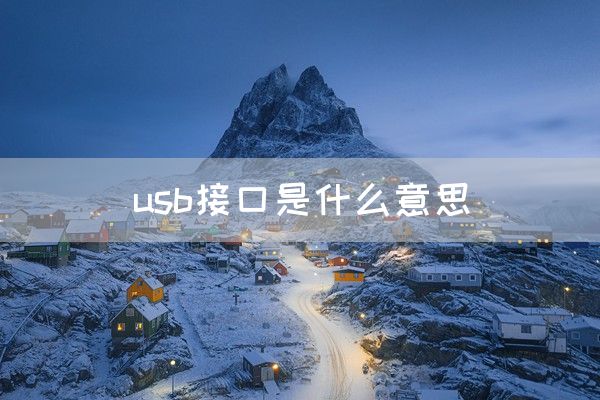 usb接口是什么意思(图1)