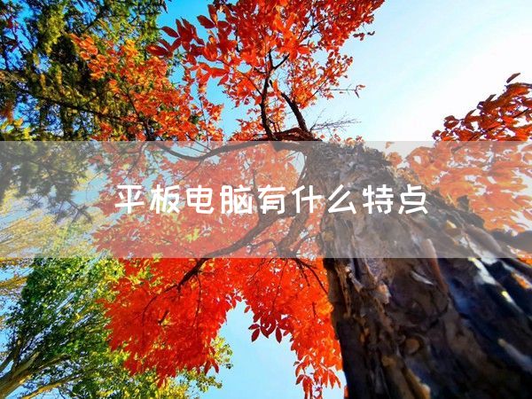 平板电脑有什么特点(图1)