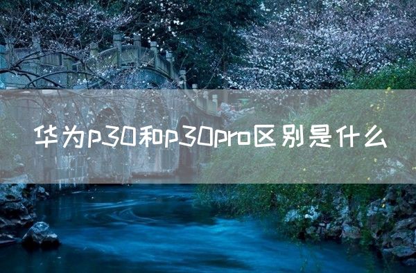 华为p30和p30pro区别是什么(图1)