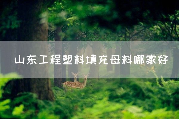 山东工程塑料填充母料哪家好