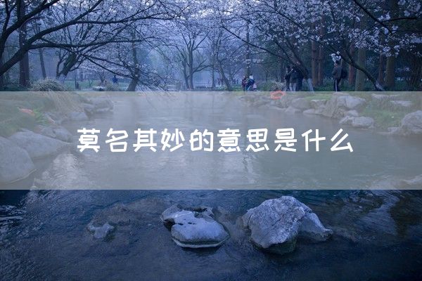 莫名其妙的意思是什么(图1)