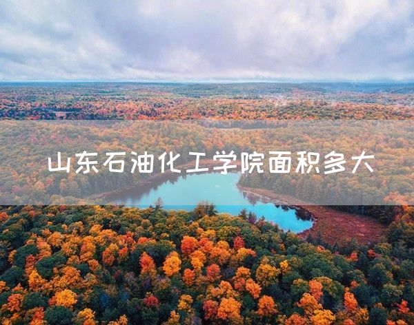 山东石油化工学院面积多大(图1)