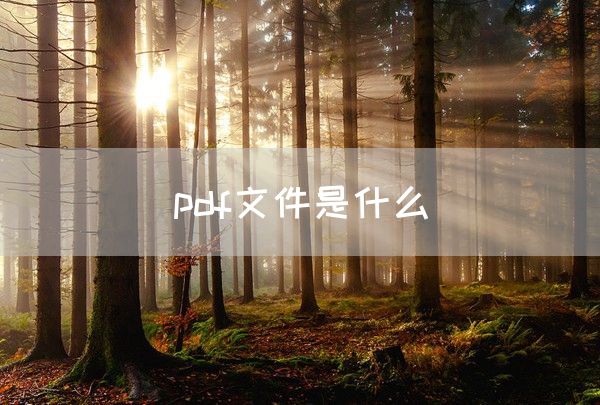 pdf文件是什么(图1)