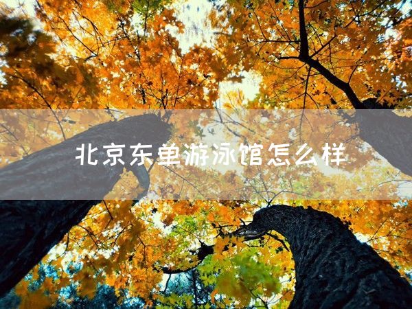 北京东单游泳馆怎么样(图1)