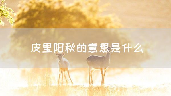 皮里阳秋的意思是什么(图1)