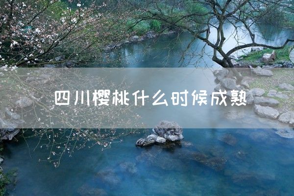 四川樱桃什么时候成熟(图1)