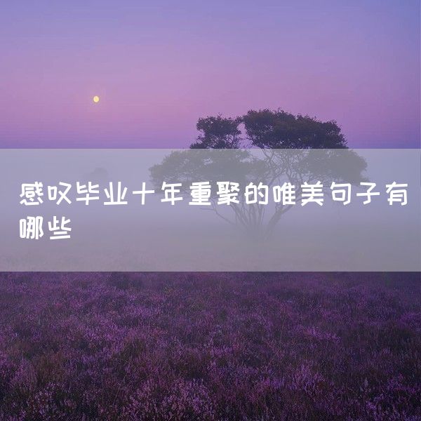 感叹毕业十年重聚的唯美句子有哪些(图1)