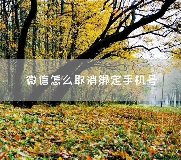 微信怎么取消绑定手机号(图1)