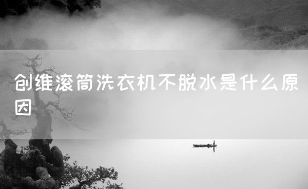 创维滚筒洗衣机不脱水是什么原因(图1)